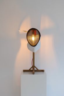 Fencing Mask Lamp